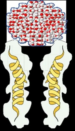Water cluster before