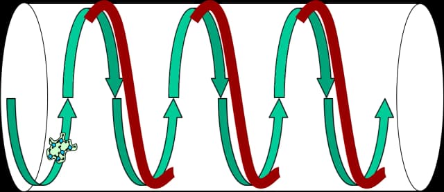 Vortex spiral water flow in dynamizer